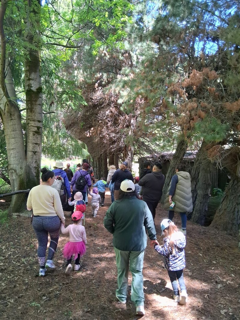 Niñas, niños y familias del jardín caminan de la mano por un sendero entre árboles altos durante un paseo por el bosque
